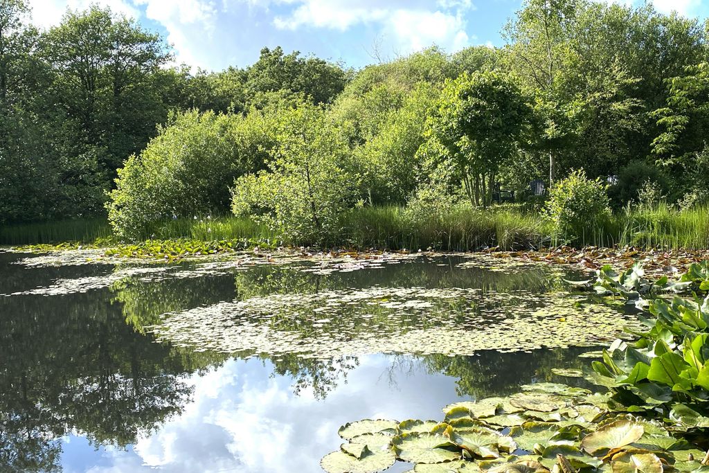 The Old Piggery, Kerswell Farm 3 - Gallery