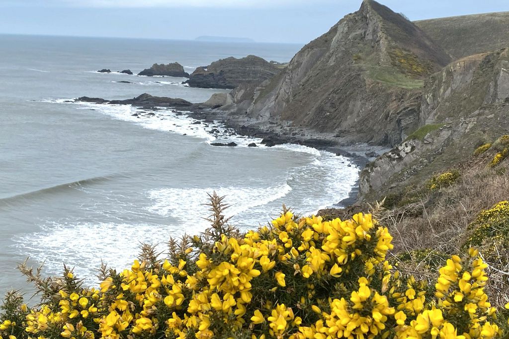 The Old Piggery, Kerswell Farm 15 - Gallery