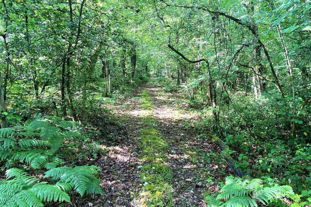 The Old Piggery, Kerswell Farm 11 - Gallery