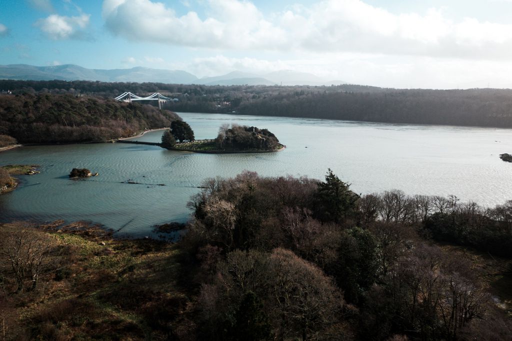 Cartrefle 19 - Gallery