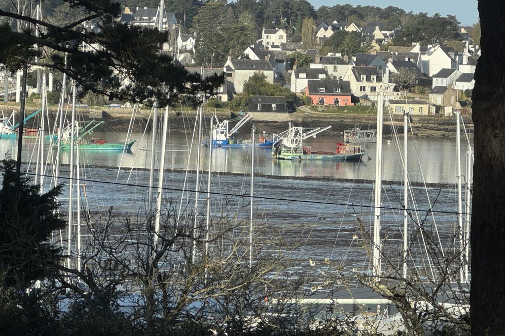 Mane Braz 2 - Gallery