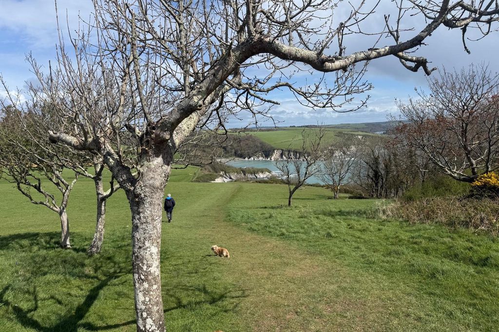 Marners Rock No 3 3 - Gallery