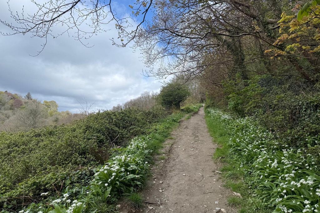 Marners Rock No 3 11 - Gallery