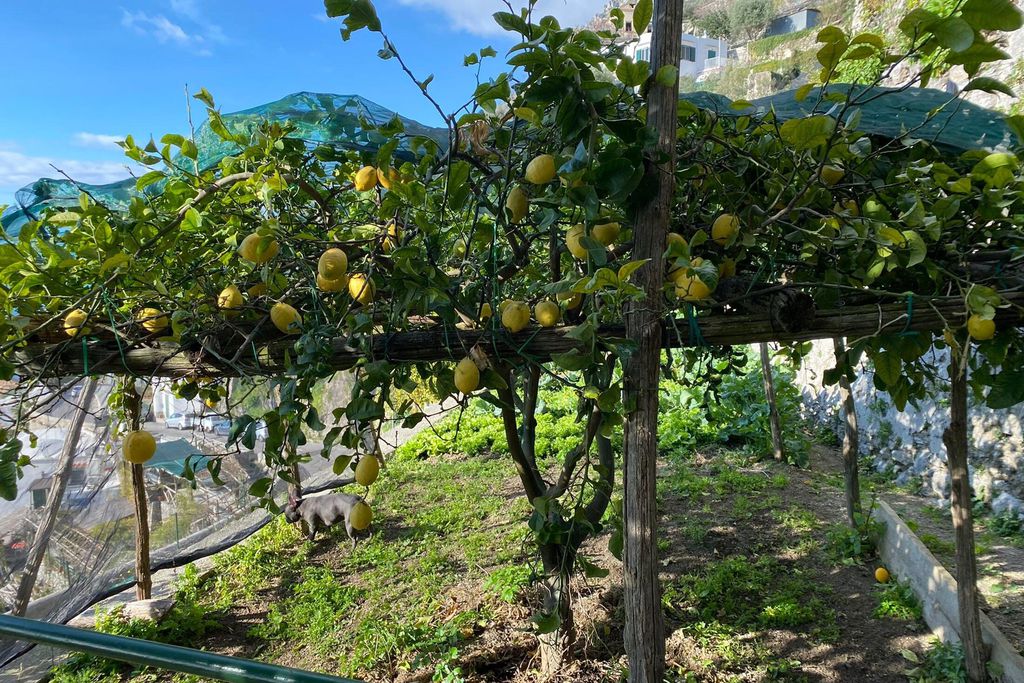 Villa Cappuccini 19 - Gallery