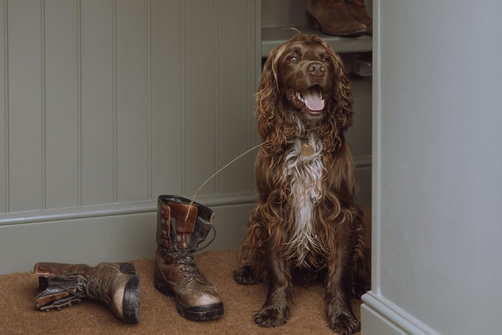 Tregoyd Estate - Pen-y-Cwm 12 - Gallery