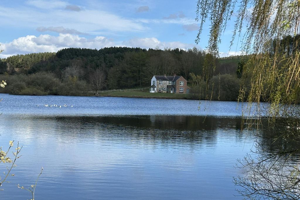 Abbott Moss 1 - Gallery