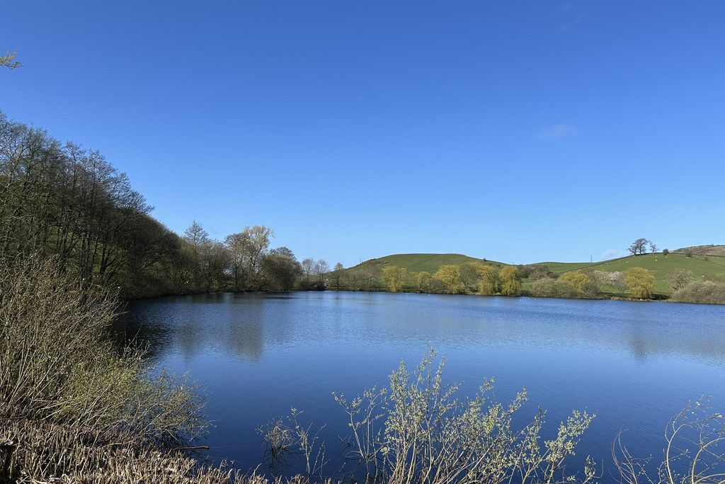 Abbott Moss 2 - Gallery