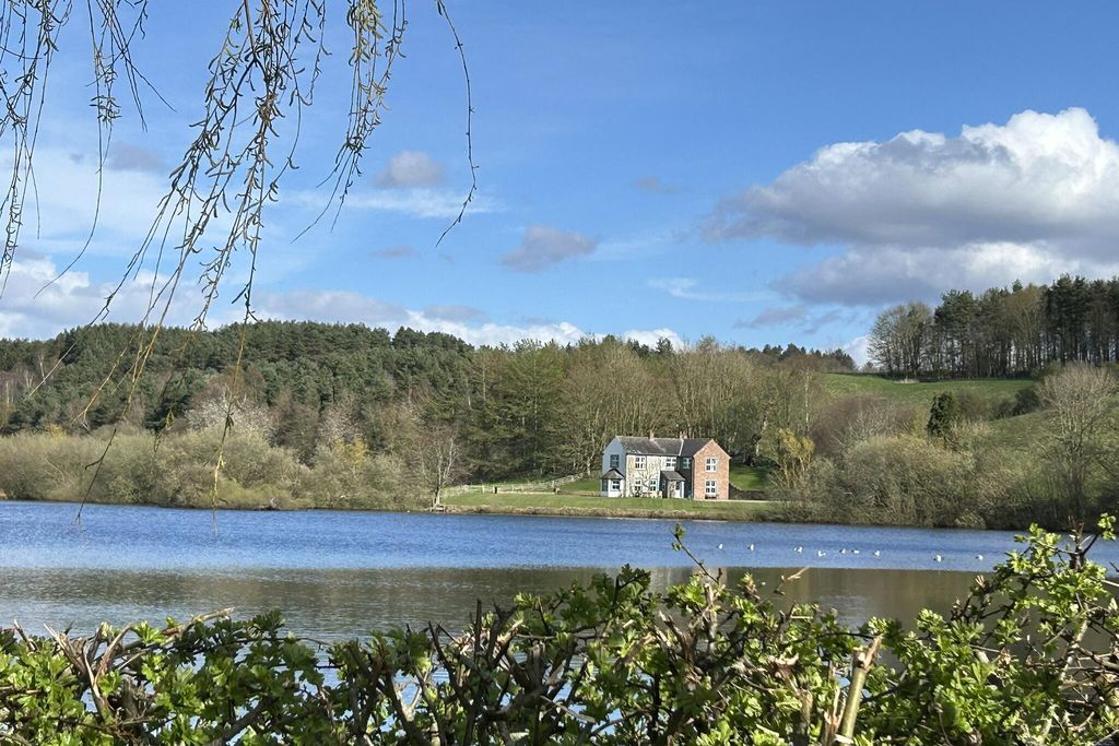 Abbott Moss 19 - Gallery