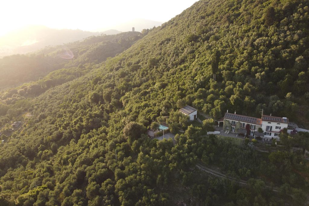 La Lucertola 3 - Gallery