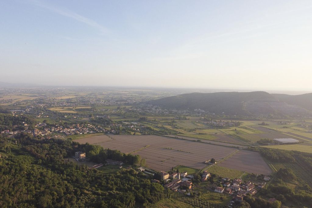 La Lucertola 18 - Gallery