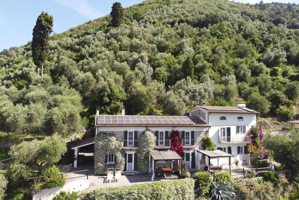 La Lucertola 2 - Gallery