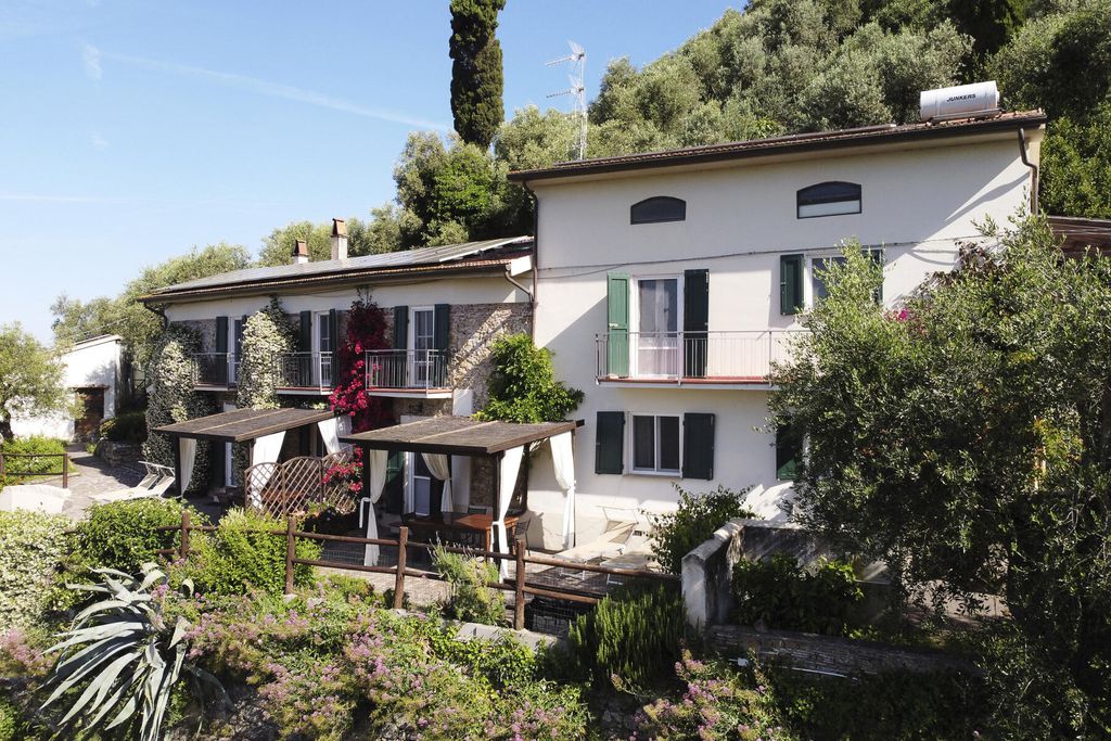 La Lucertola 17 - Gallery