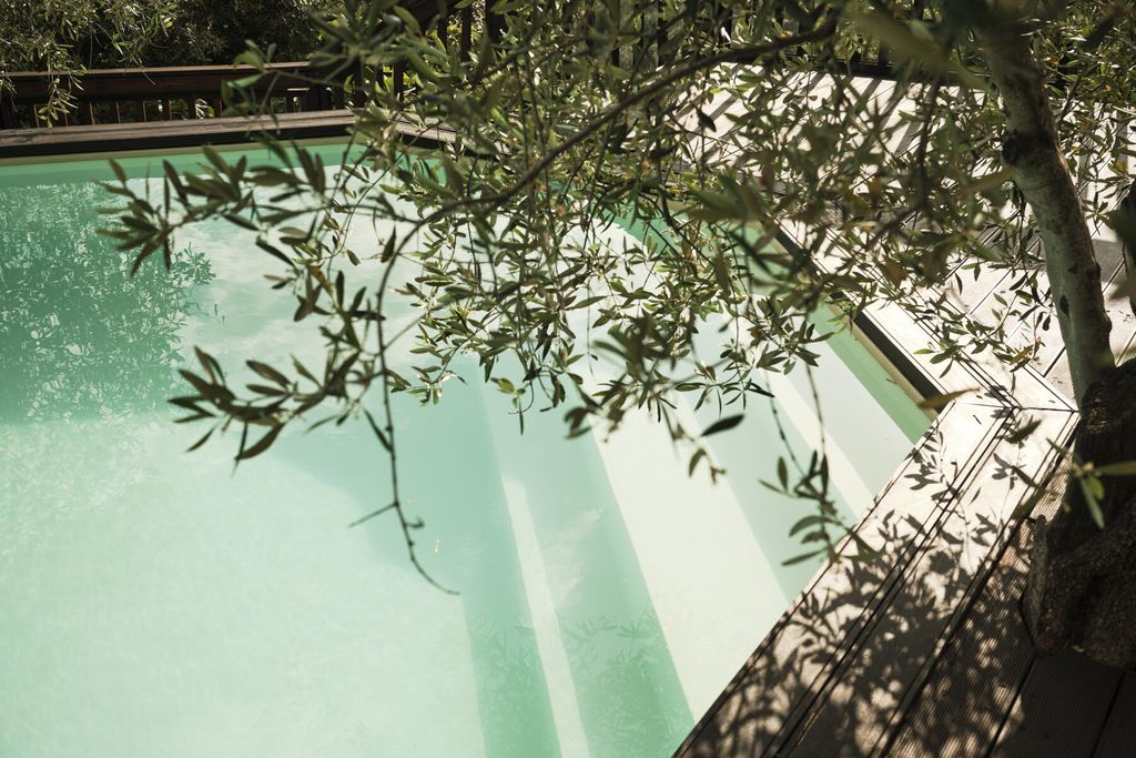 La Lucertola 9 - Gallery