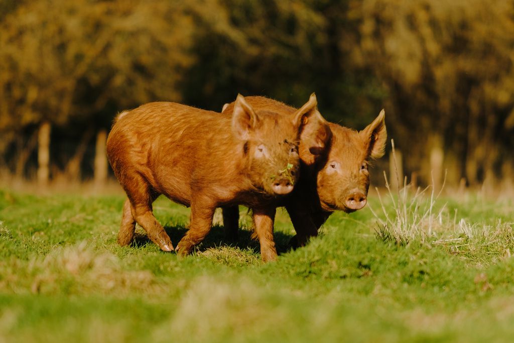 Crafted at Powdermills 20 - Gallery