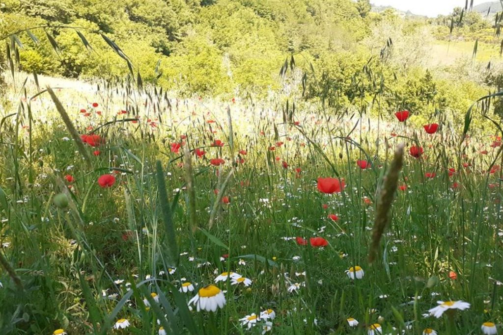 Agriturismo Marcofrate 16 - Gallery