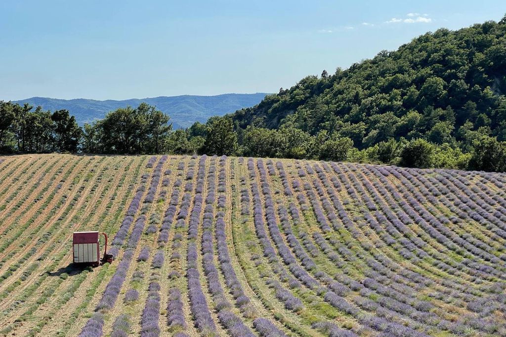 Le Vieil Aiglun B&B 20 - Gallery