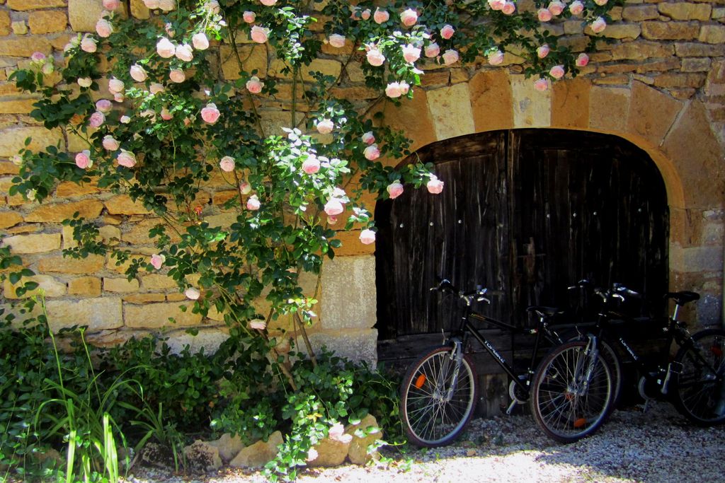 Moulin de Malecoste - Blanc 20 - Gallery