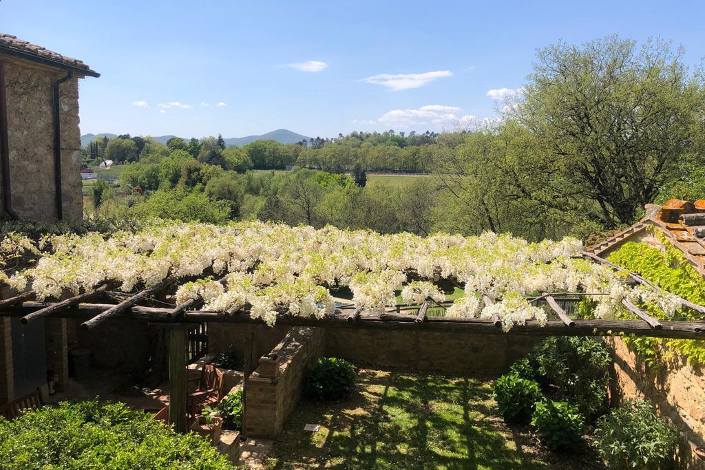 Villa Podernovo 18 - Gallery