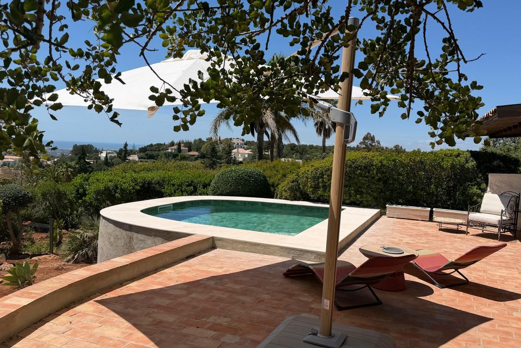 Monte Borboleta 8 - Gallery