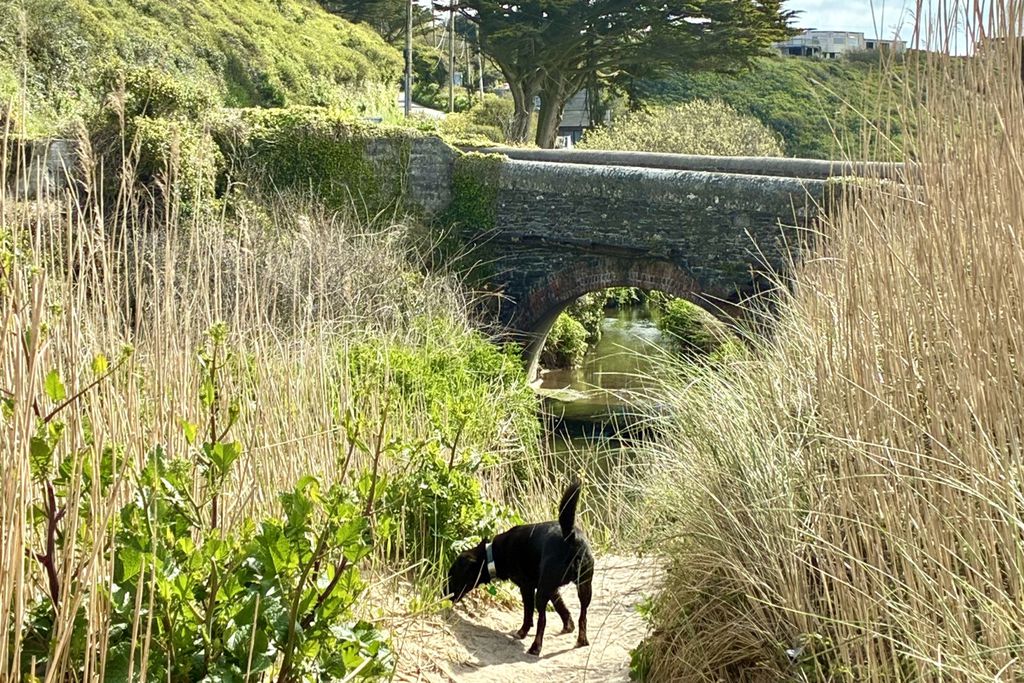 5 & 6 Porth Farm Cottages 20 - Gallery