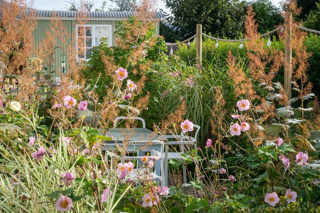 The Mount B&B 6 - Gallery