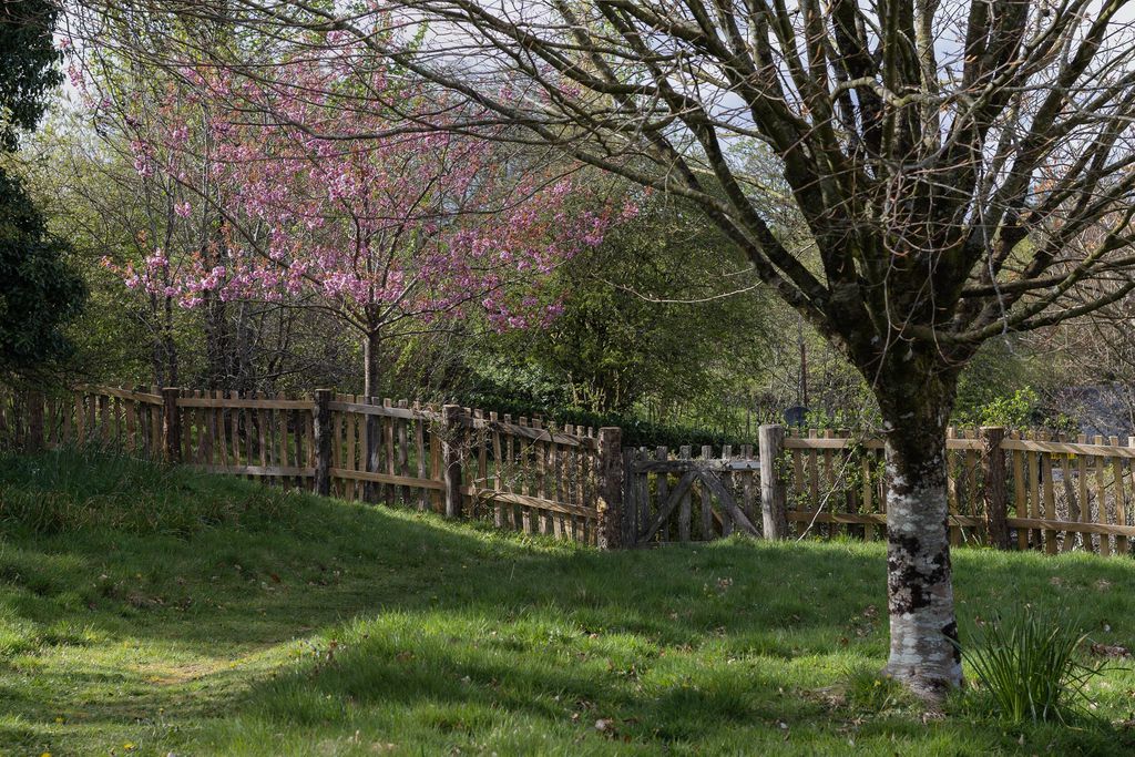 Llwynwermod Estate - Gatekeepers Cottage 16 - Gallery