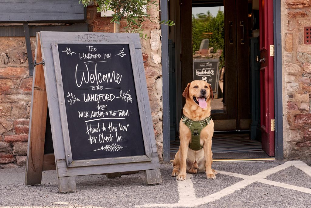 The Langford Inn 19 - Gallery