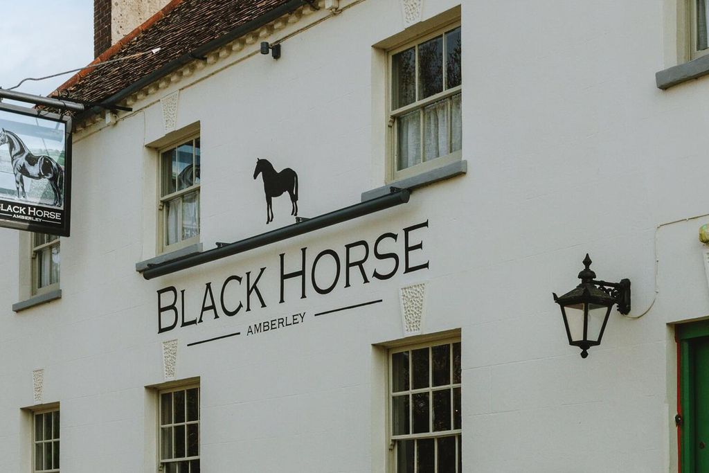Black Horse 20 - Gallery