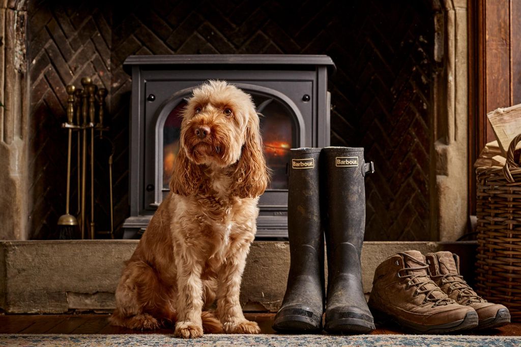The Prince of Burford 14 - Gallery