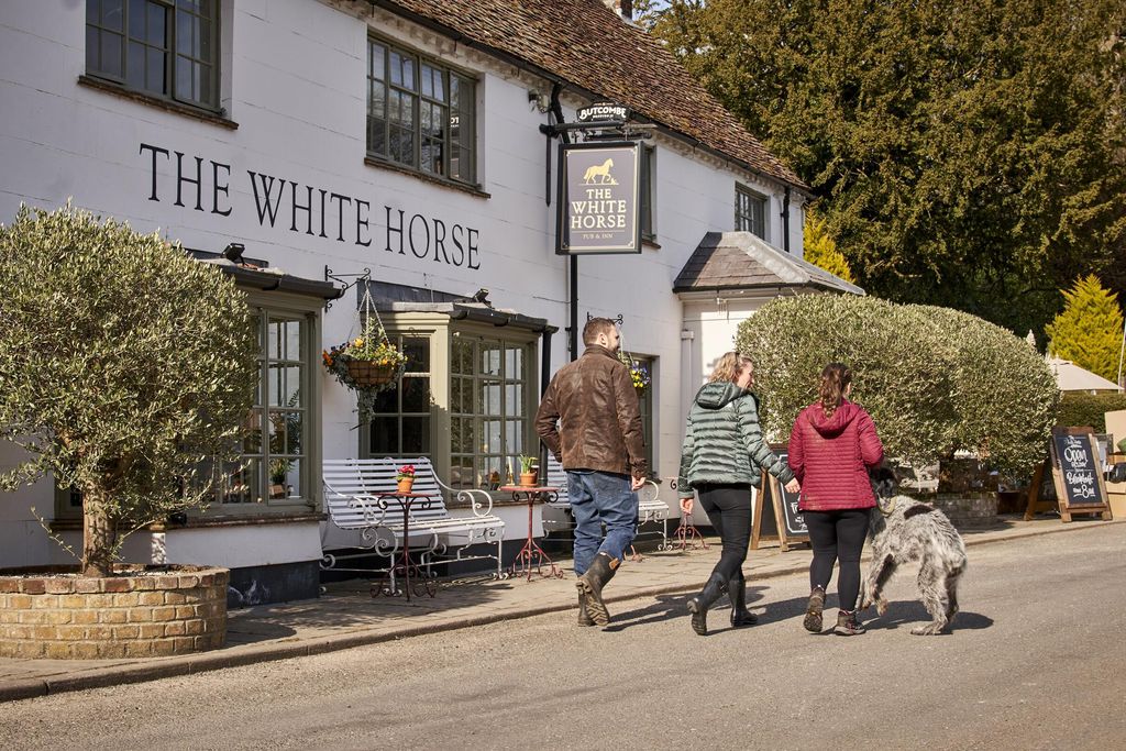 The White Horse 19 - Gallery
