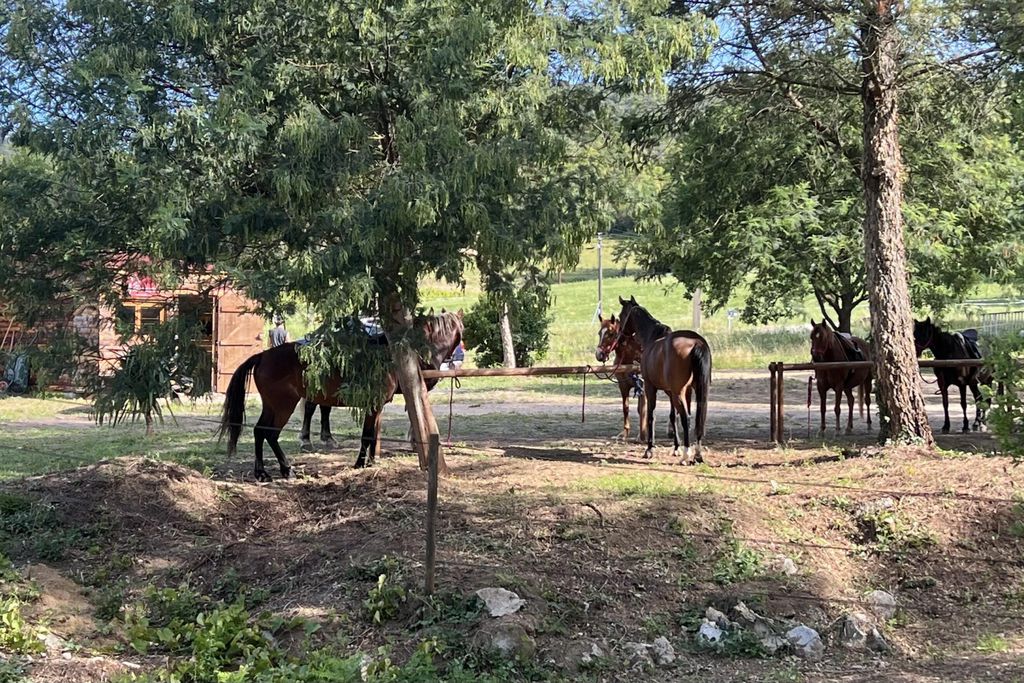 La Gargoulette 17 - Gallery