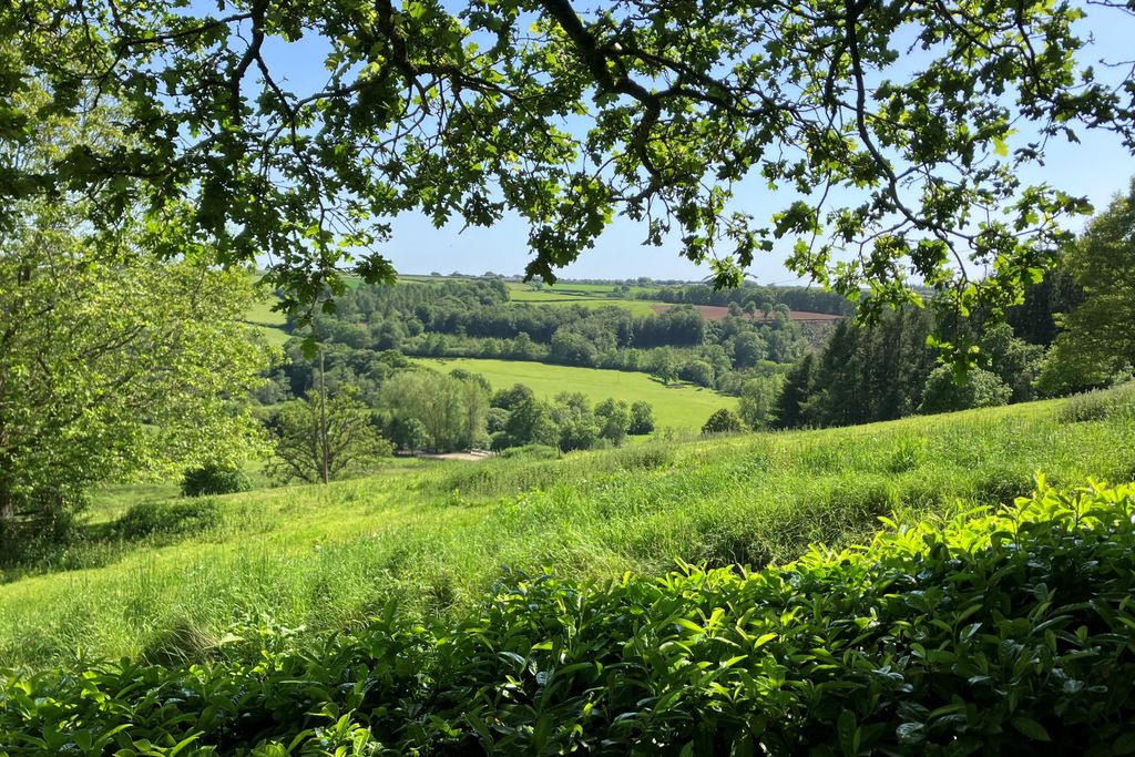 Affeton Barton 18 - Gallery