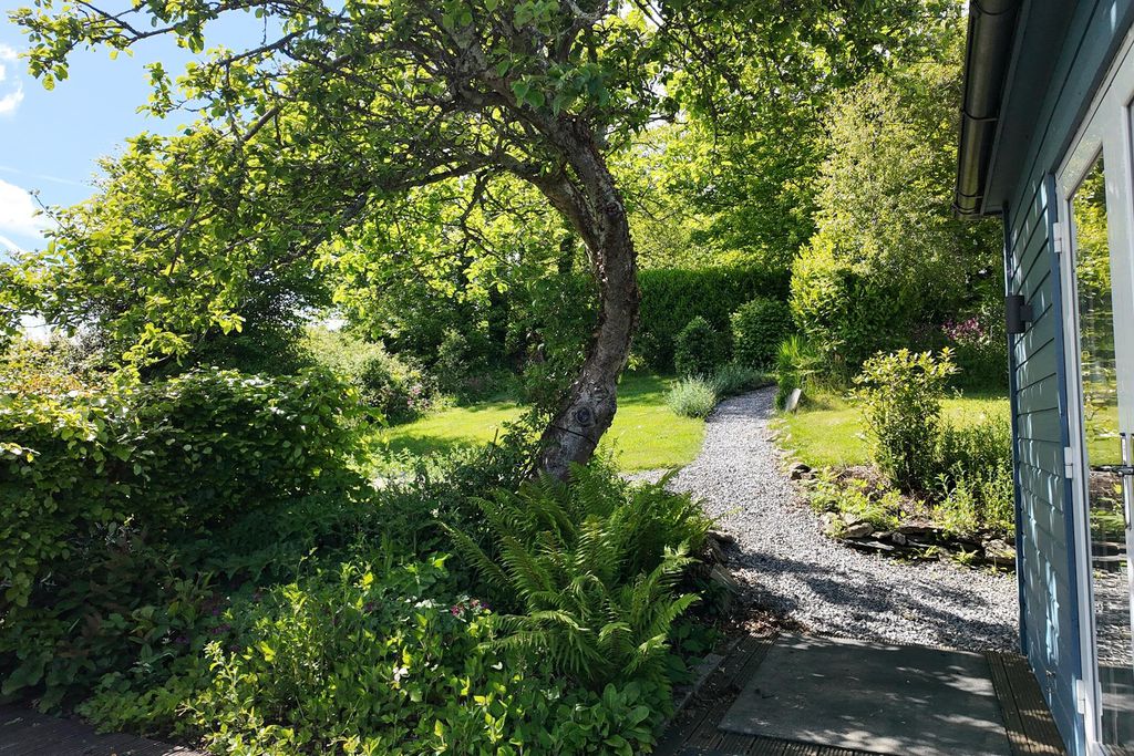 Bowden Wood 15 - Gallery