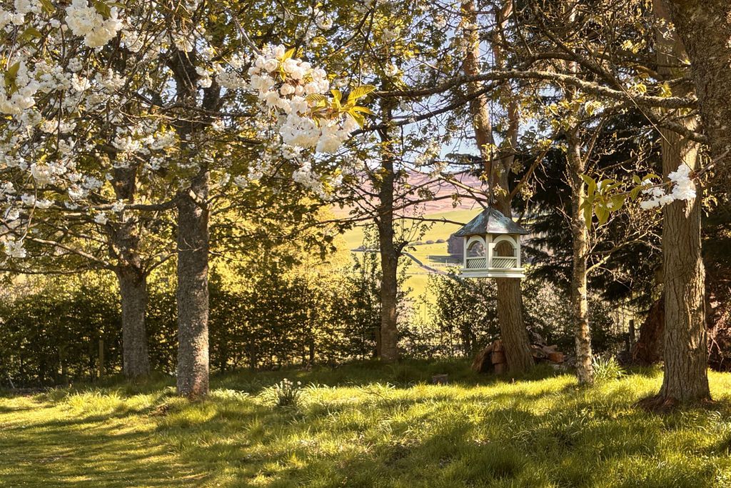 The Pijjery at Easter Knowe 15 - Gallery