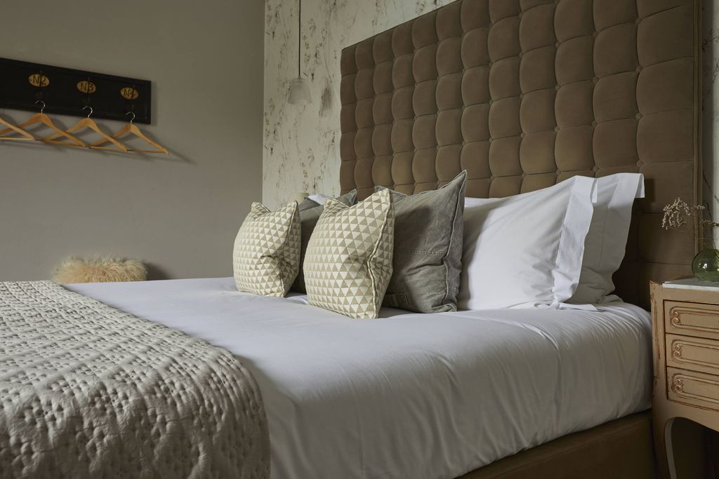 The Swan 11 - Gallery