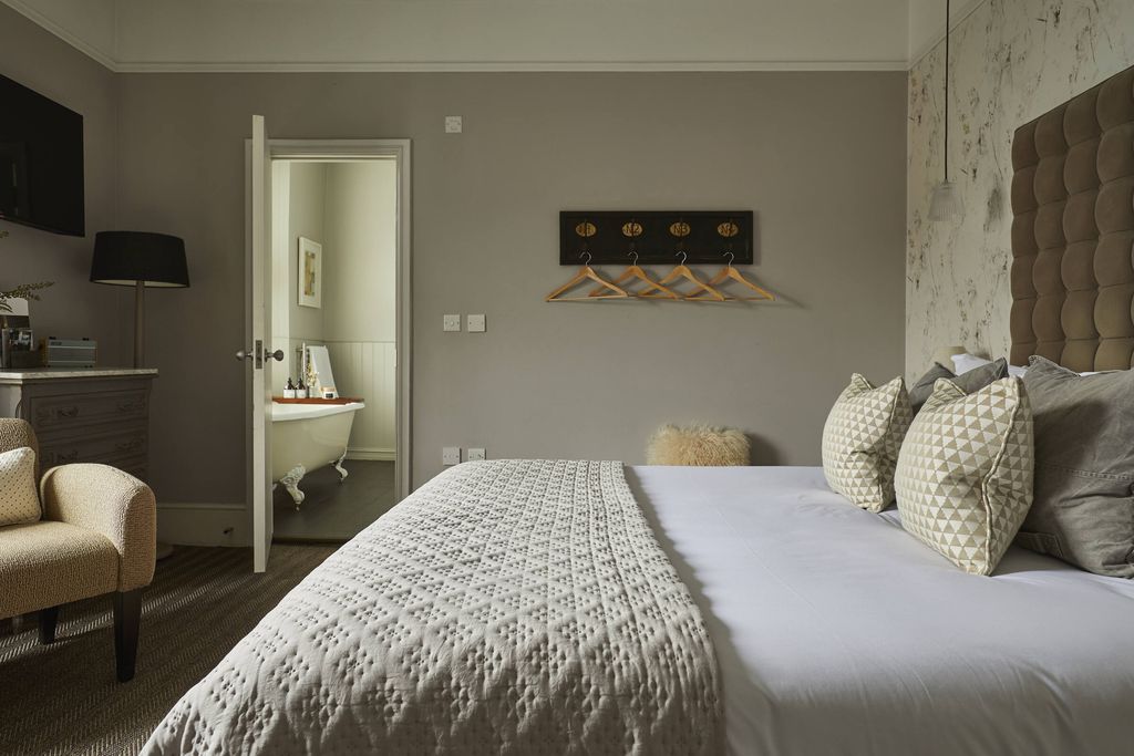 The Swan 13 - Gallery