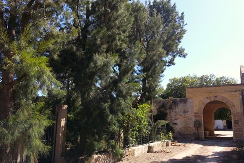 Baglio Spanò - Antiche Dimore di Sicilia 20 - Gallery