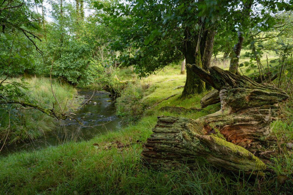 Llwynwermod Estate - North Range 19 - Gallery