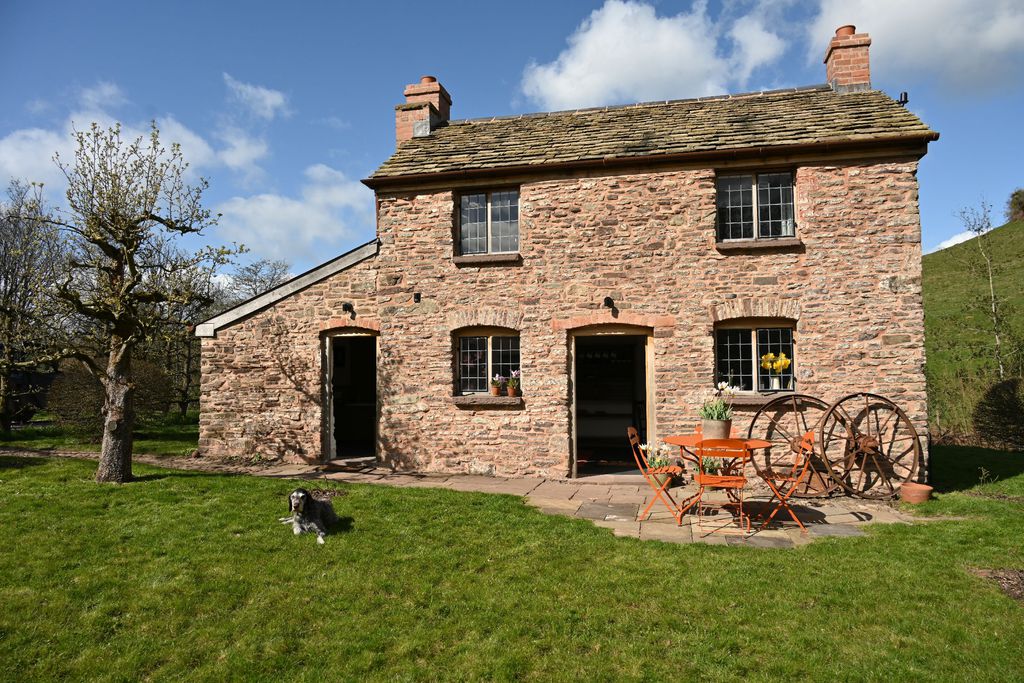 Little Alt-y-bela 1 - Gallery