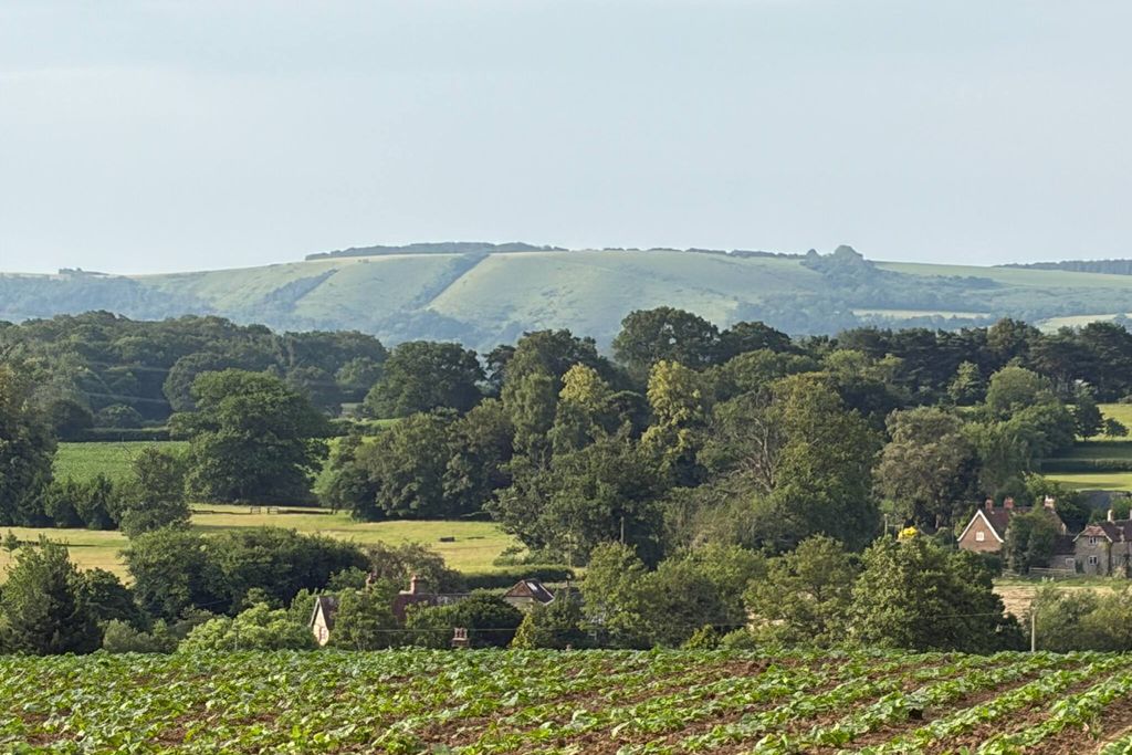 The Barn at Malthouse Cottage 14 - Gallery