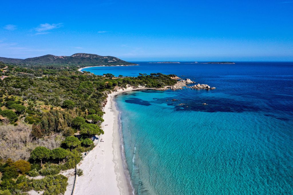 Les Oliviers de Palombaggia 20 - Gallery