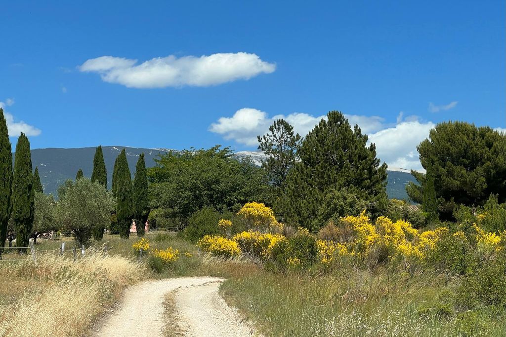 Villa Belle Plume 18 - Gallery