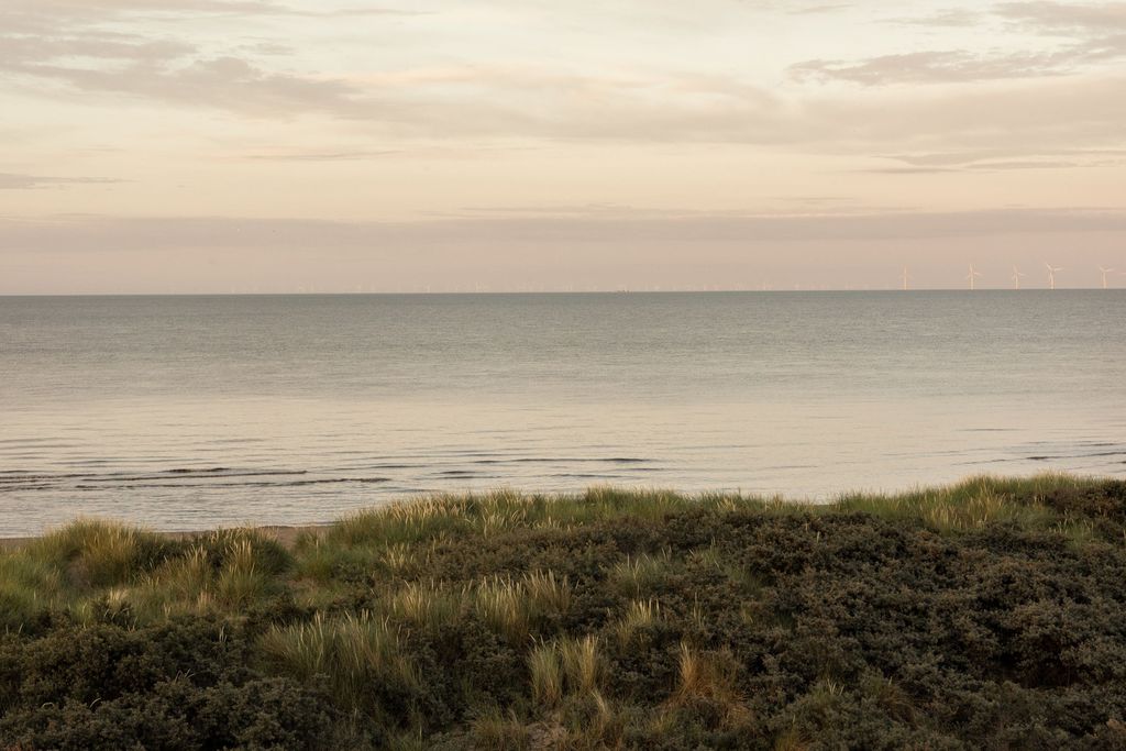 Beach Cottage, Anderby Creek 3 - Gallery