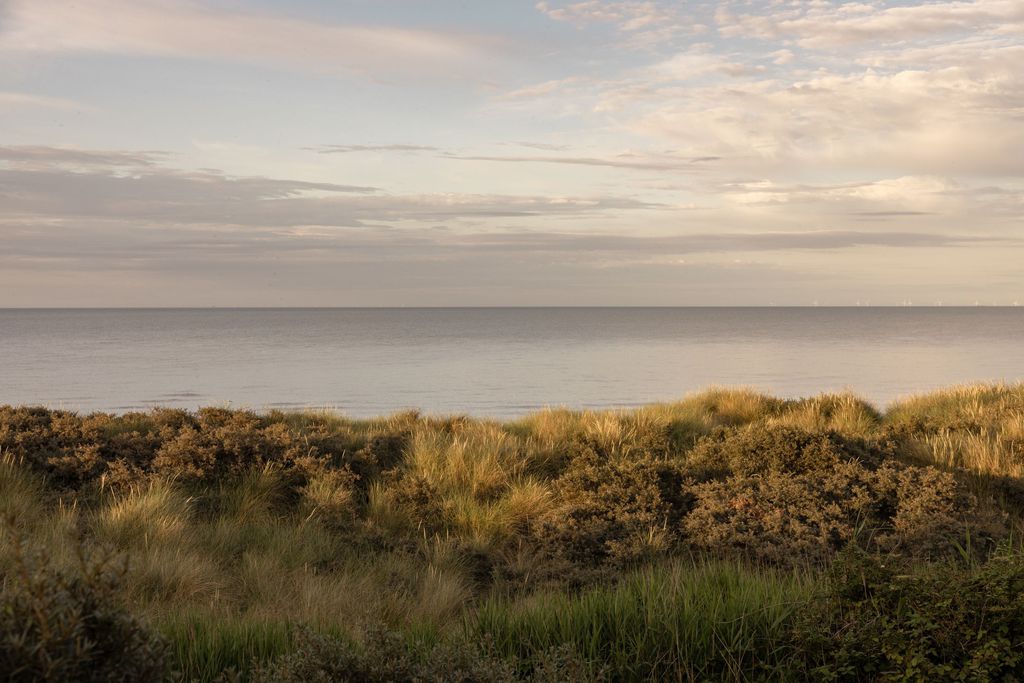 Beach Cottage, Anderby Creek 20 - Gallery