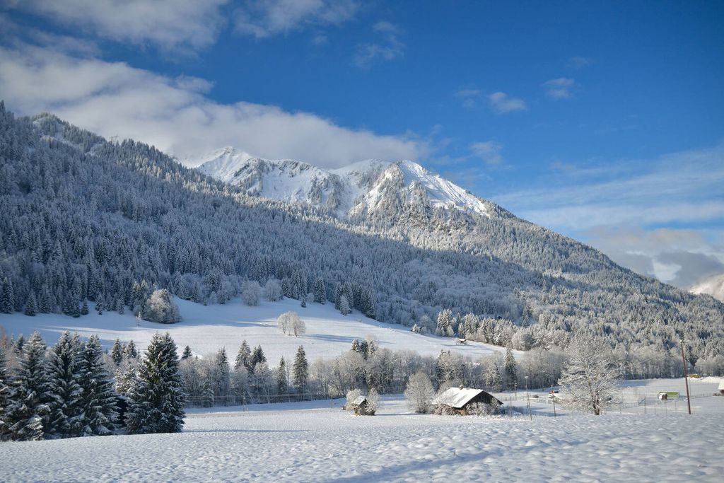 Chalet Cannelle 18 - Gallery