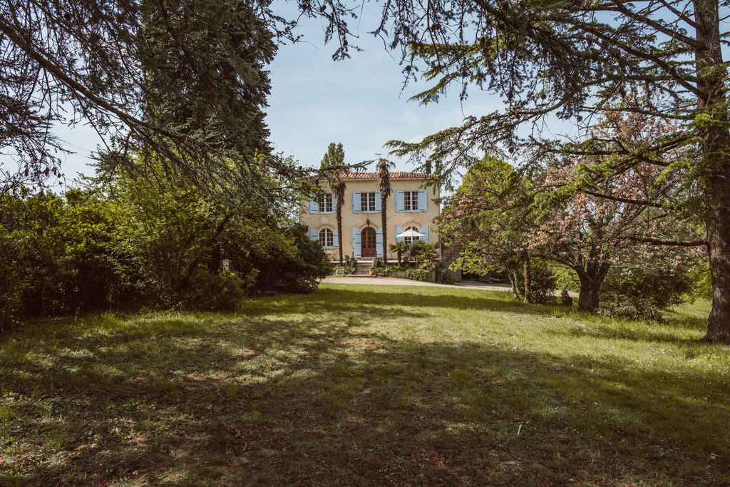 Le Beau Pierre 9 - Gallery