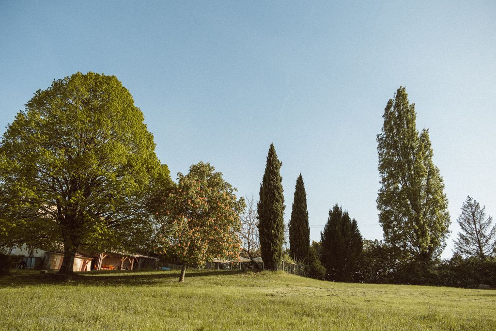 Le Beau Pierre 20 - Gallery