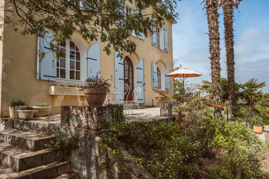 Le Beau Pierre 18 - Gallery