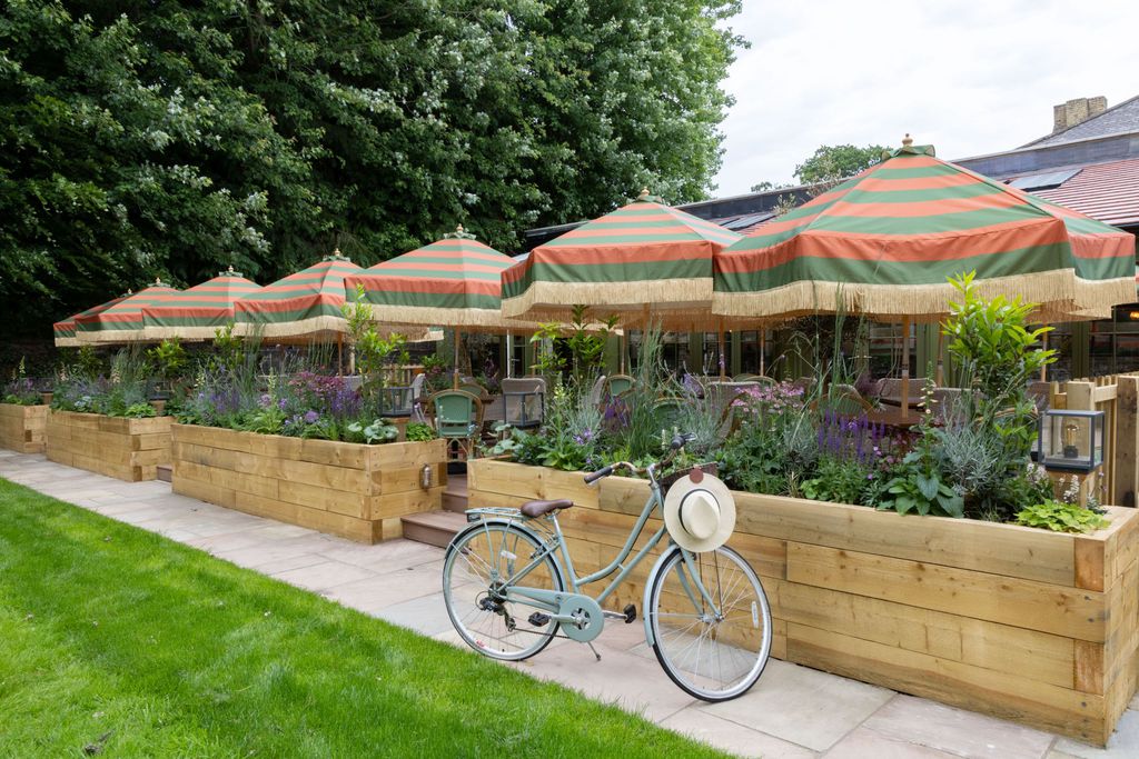 The Ragged Robin 19 - Gallery