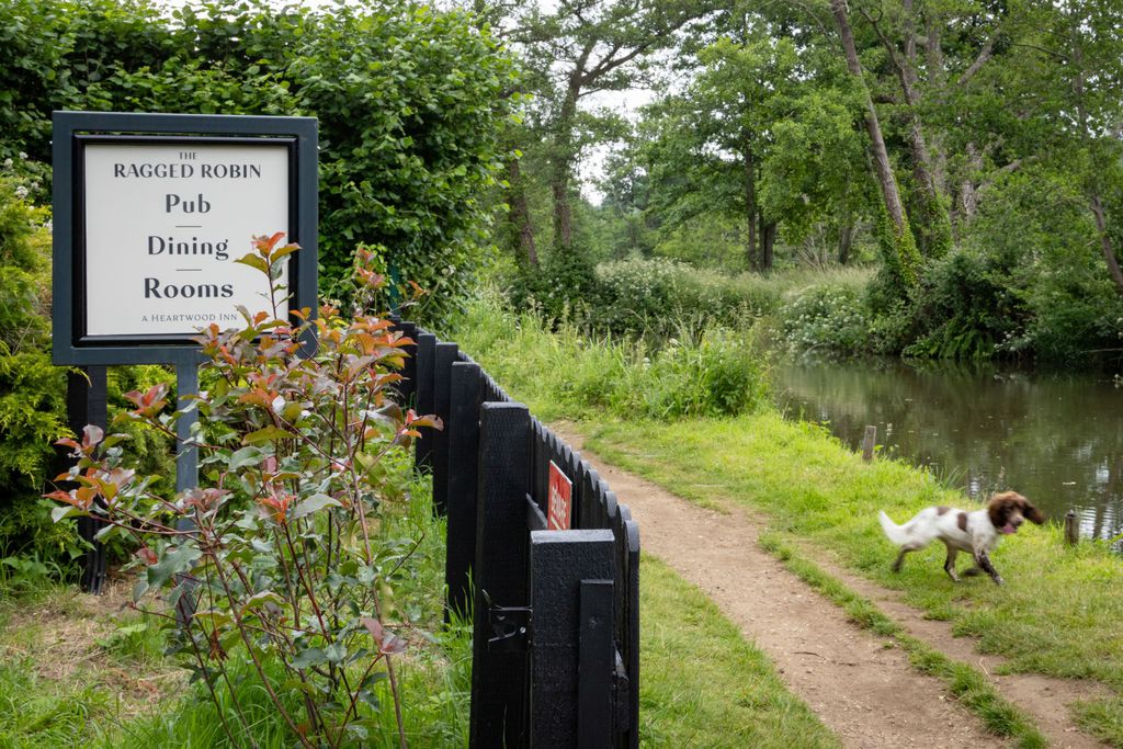 The Ragged Robin 20 - Gallery